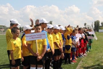 Мөслим районы башлыгы кубогына Бөтенроссия ачык футбол ярышлары төгәлләнде