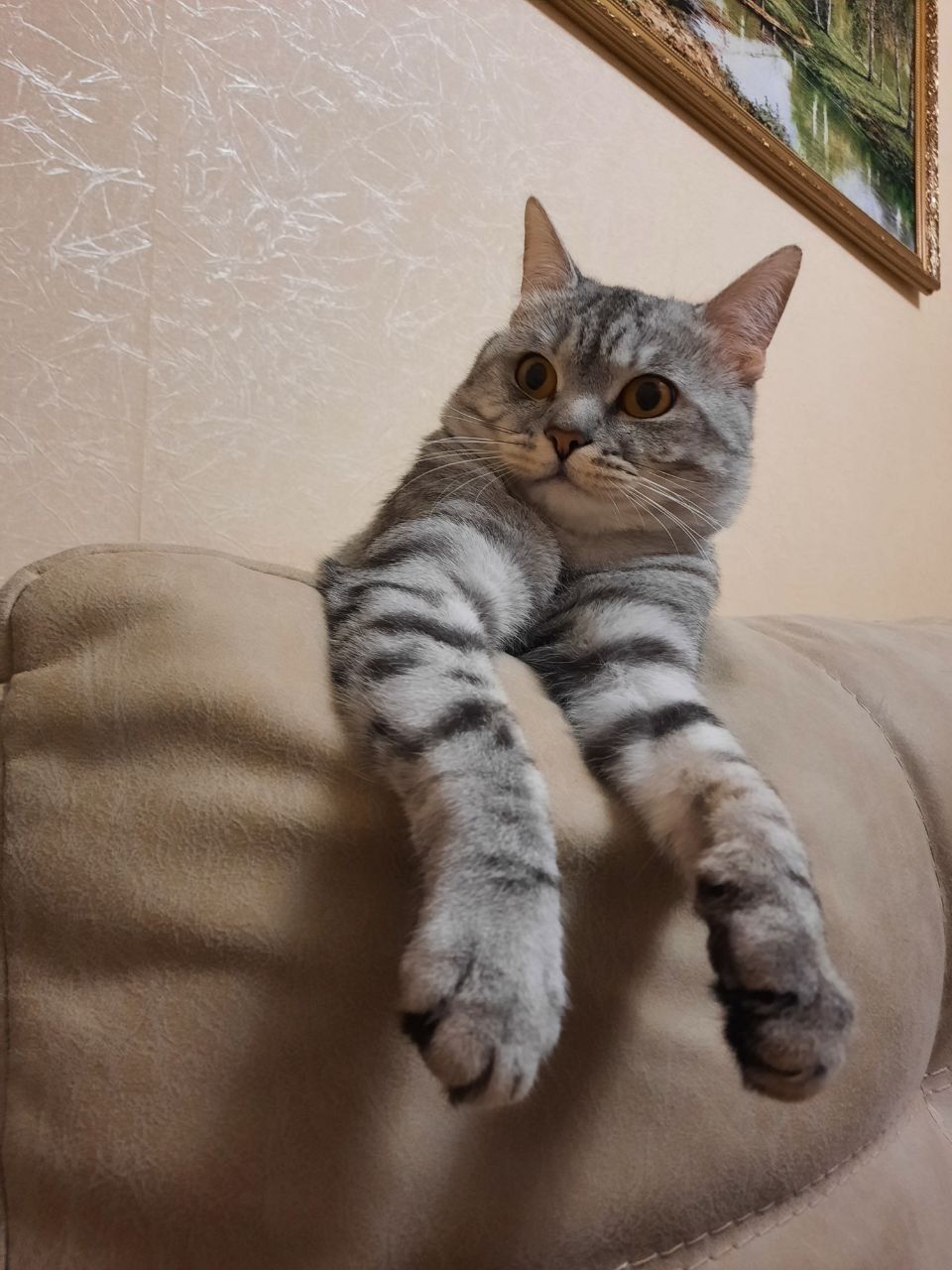 Бүген Халыкара мәчеләр көне билгеләп үтелә