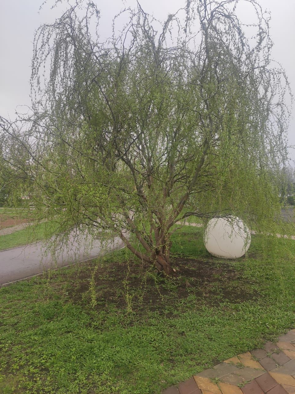 Һава торышы