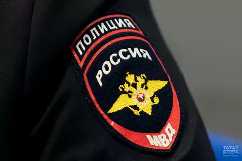 Мөслим районында җирле кеше полиция хезмәткәрен мыскыл иткән өчен хөкем ителгән