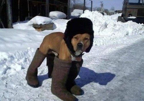 Һава торышы