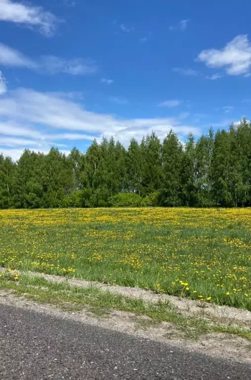 Тузганак кына димә