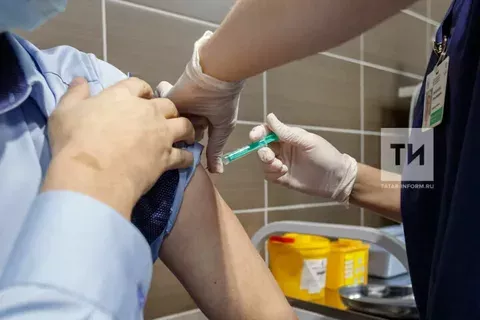 Татарстанда өч меңгә якын кеше талпан энцефалитына каршы прививка ясаткан