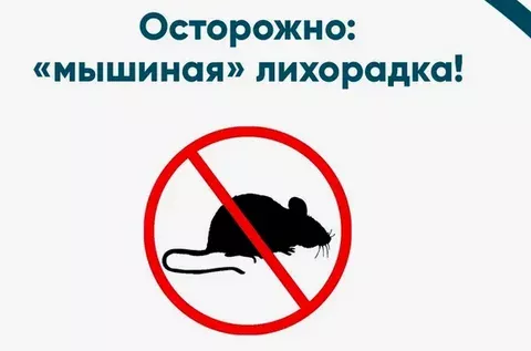 Бөер синдромлы геморрагик бизгәк: симптомнар һәм профилактика