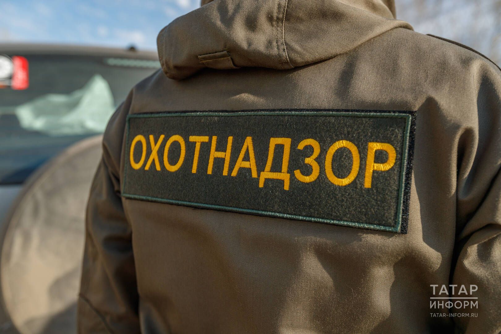 Һаваларда оча кошлар