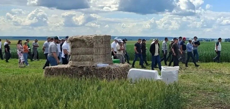 «Туган як» агрофирмасының тәҗрибә басуларында Кыр көне узды