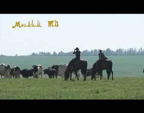Авыл хуҗалыгы көненә  махсус төшерелгән видео