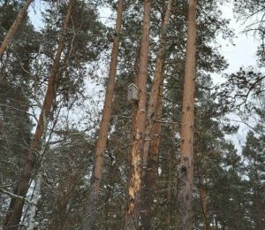 27 мартка һава торышы