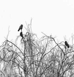 11 мартка һава торышы