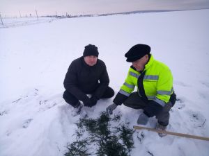 «Кар астында - уңыш нигезе»: Мөслим аграрийлары язгы чәчүгә әзерләнә