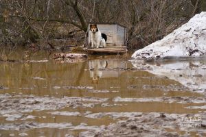 Яз башына фаразлар: кышкы киемне алып куяргамы әле?