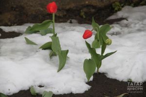 Татарстанга март суыкларыннан соң +3 градуска кадәр кискен җылыту киләчәк