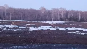 2 апрельгә һава торышы