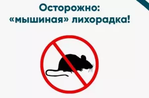 Бөер синдромлы геморрагик бизгәк: симптомнар һәм профилактика