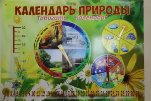 Экологик иминлек – игътибар үзәгендә