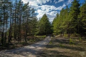 Татарстанда урманнарны янгынга каршы төзекләндерү тулысынча төгәлләнде