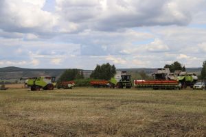 Мөслим районында урып-җыю эшләре 67 процентка үтәлде