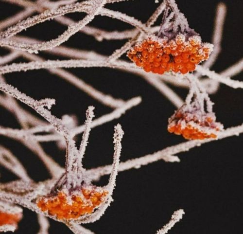 12 мартка һава торышы