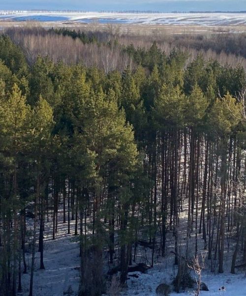 24 мартка һава торышы