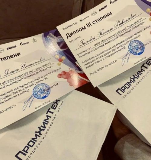 Мөслим лицее һәм Мөслим урта мәктәбе укучылары «Е-фактор» олимпиадасында катнашты