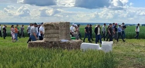 «Туган як» агрофирмасының тәҗрибә басуларында Кыр көне узды
