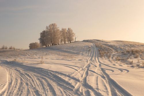14 гыйнварга һава торышы