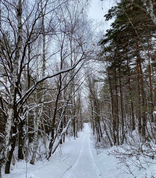 18 гыйнварга һава торышы