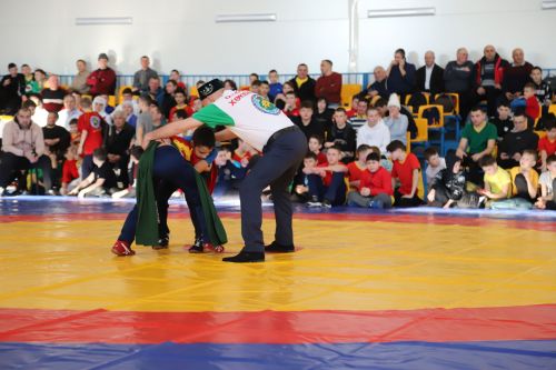 Мөслимдә республикакүләм бәйге үтте (Фоторепортаж)