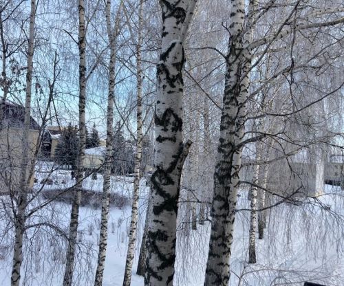 21 гыйнварга һава торышы