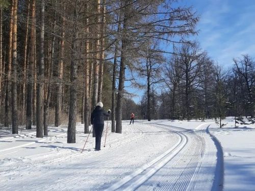 23 гыйнварга һава торышы