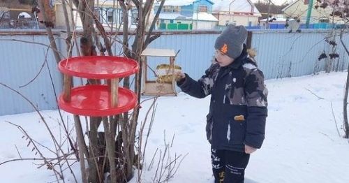 «Кошларга ярдәм ит» акциясе