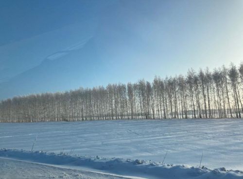 28 гыйнварга һава торышы