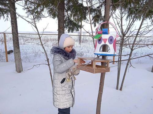 Кошлар өчен җимлекләр