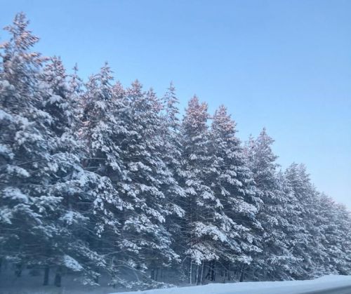 10 гыйнварга һава торышы