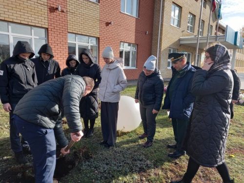 «Агач утырту» акциясе башланды