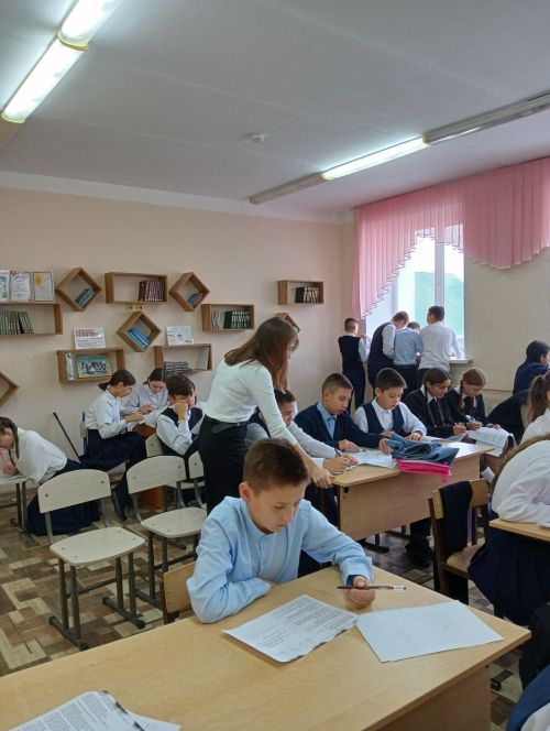 Һөнәри юнәлеш бирү максатыннан