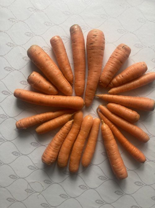 Иммунитетны ныгыту