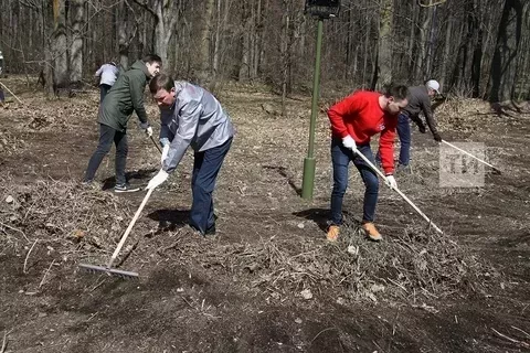 Йорт территориясе җыештырылачак
