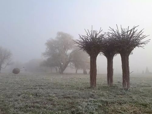 6 ноябрьгә һава торышы