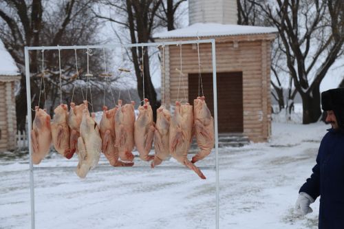 Мөслимдә Каз өмәсе фестивале