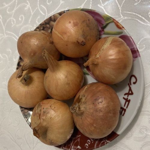 Сәламәт булыгыз