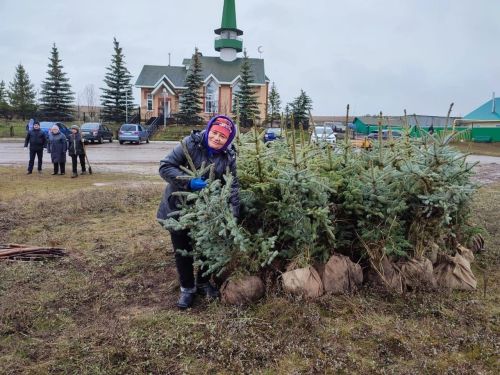 Яңа паркка нигез салынды