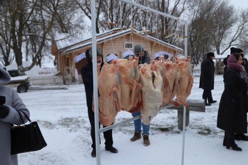 Каз өмәсе – Мөслим бизәге