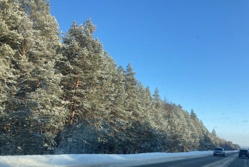 13 декабрьгә һава торышы