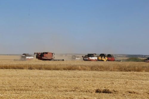«Иң яхшы комбайнчы» республикакүләм бәйгесе уздырылды