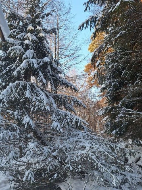 20 декабрьгә һава торышы