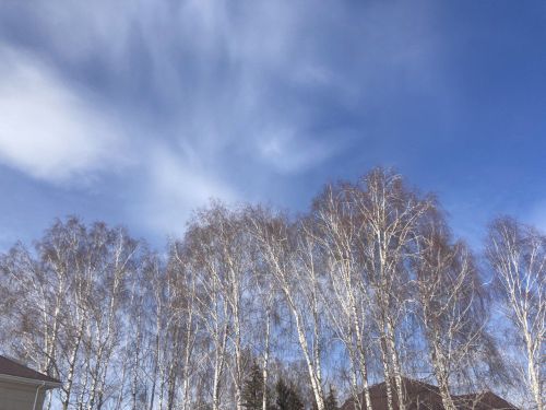 22 декабрьгә һава торышы