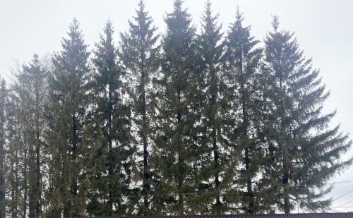 23 декабрьгә һава торышы