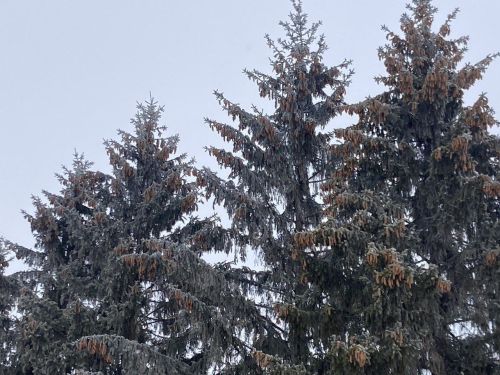 24 декабрьгә һава торышы
