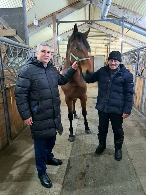 Ат спорты комплексы тулылана